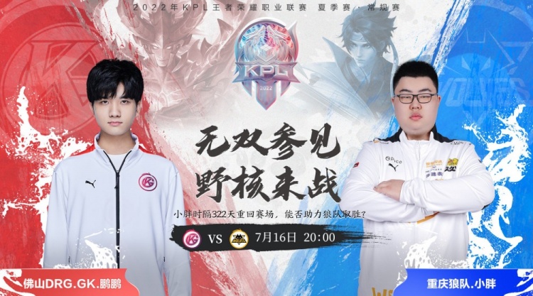 的技艺巅峰 的技艺巅峰