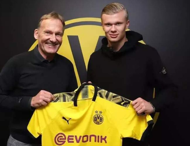 的三段闭环 的三段闭环